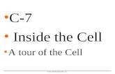 Cell Structure C&M C-7