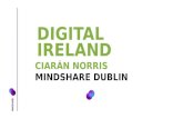 Marketing To Ireland: SES London Presentation