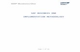 Implementation Guide SAP Business One.doc