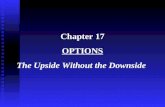Chapter 17 Options