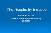 The hospitality industry – concepts, ideas and future