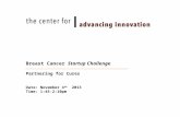 BCS Challenge: Faster Cures Presentation- Nov. 4, 2013