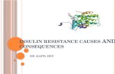 Insulin resistance causes and  consequences