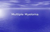 Multiple myeloma  3