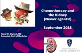 Newer Chemotherapy agents and renal toxicity