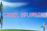 Lecture 50  chronic inflammation.ppt 4.11.11