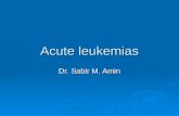 medicine.Acute leukemias.(dr.sabir)
