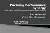 Pursuing Performance Synergy