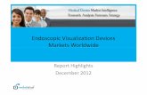 Endoscopic Visualization Devices Markets Worldwide
