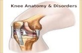 Knee Joint anatomy and Disorders