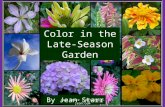 Color in the late season garden