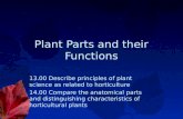 Plant Parts3