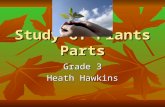 Hawkins Plants Parts