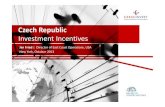 Investment Incentives - October 2013
