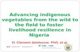 Sustainable Food Production: Advancing indigenous vegetables from the wild to the field to foster livelihood resilience in Nigeria