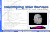 Identifying Web Servers: A First-look Into the Future of Web Server Fingerprinting