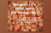 Whoopee! it’s baked beans again. A single mom on welfare and a baby on the way and how she survived