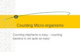 Counting Micro Organisms