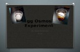 paulo's Egg osmosis experiment