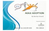How to go about an agile adoption