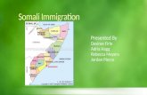 Somali immigration power point