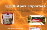 Apex Exporters Gujarat India