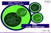 Elbs unit 1 b491 lesson 13 plants for food