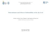 Determinants and effects of infomobility at the city level