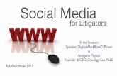 Social Media for Litigators