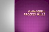 88594583 Managerial Process Skills 2 1