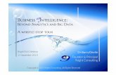 Business unIntelligence - a Whistle Stop Tour
