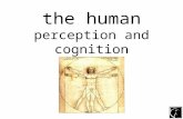 The Human perception & Overview