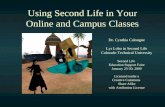 Using Second Life for Online and Campus Classes
