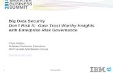 IBM: Big Data Security