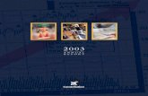 constellation annual reports 2003