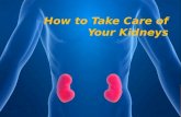 Taking care of your kidneys