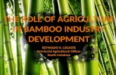 Bamboo pao presentation