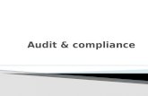 Audit & compliance