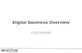 Digital Business Overview