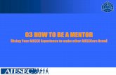 03 how to be a mentor by aiesec colombia (learning strategy, 2002)