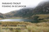 Paramo Trout Fishing in Ecuador