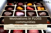 Motivation in FLOSS communities