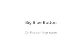 Big Blue Button and the Digital One-Day