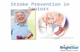 Stroke Prevention in Seniors