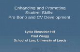 Enhancing and promoting students' skills: pro bono and CV development