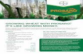 2012 Prosaro® Wheat Product Bulletin