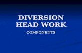 Diversion Head Work