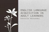 English Language Acquisition in Adult Learners