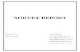 Survey report on house wiring