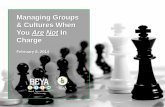 Let's Get Ready to Rumble! Managing groups and cultures when you are not in charge